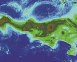 Track the plankton drift