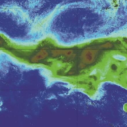 Track the plankton drift