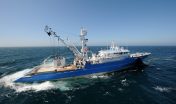 CatSat - Oceanography for fishing
