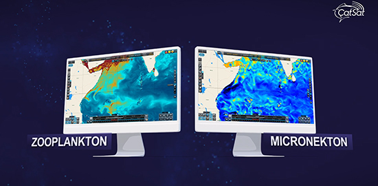 CATSAT-Zooplankton-et-Mikronecton Zooplankton & Mikronecton